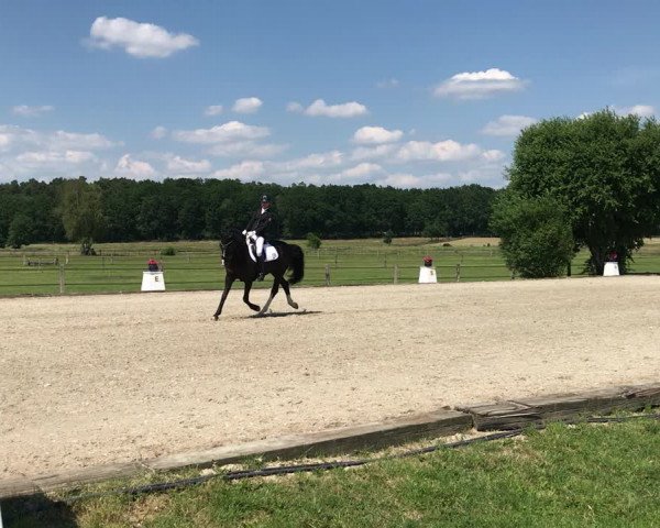 Reitturnier Brockhöfe 2019