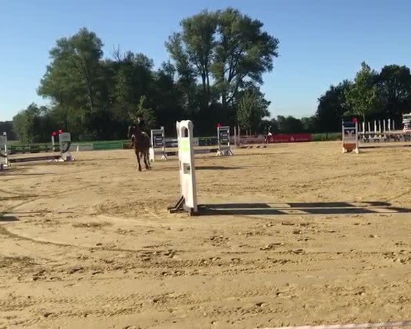 Reitturnier Drensteinfurt 2019