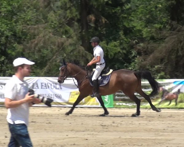 Video di clinta-5