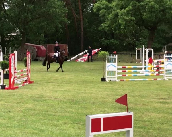 Video of Duke of Duncan MK