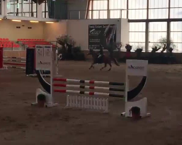 Video von Tiffany