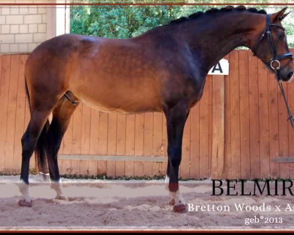 Video of Belmiro 7