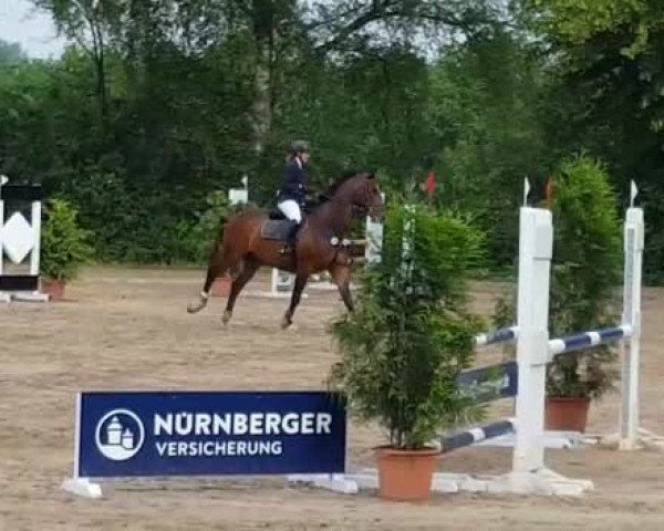 Reitturnier Leverkusen - Teitscheider Hof 2019