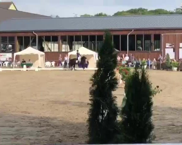 Video of Peyman