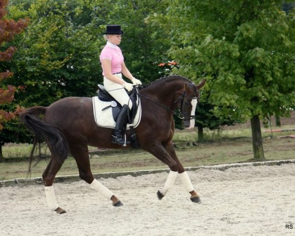 dressage horse Lokija (Latvian Warmblood, 2002, from Lagerfeld)