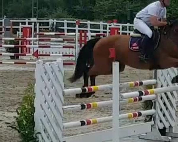 Video von Chin Chinto