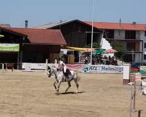 Reitturnier Seehof/Obb. 2019
