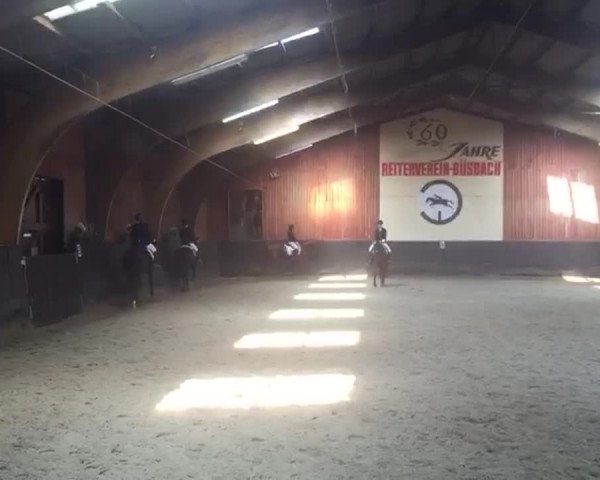 Video of Flack DG