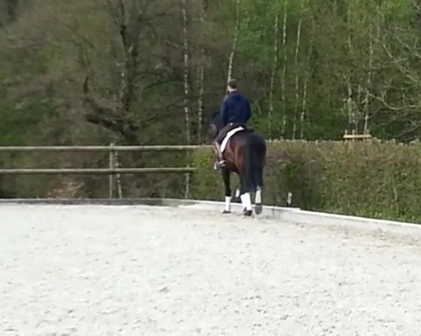 Video of Flack DG