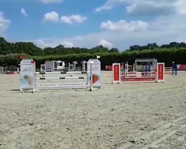 Reitturnier Münster, St. Mauritz 2019