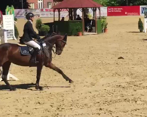 Video of Satinara GK
