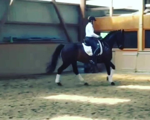 Video von Vincent Vegas