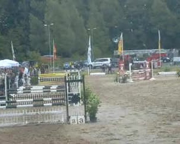 Video of Pharos
