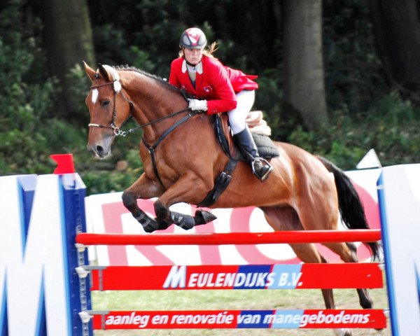 jumper Thunder III (KWPN (Royal Dutch Sporthorse), 2000, from Navarone)