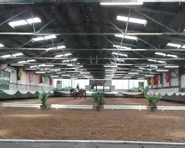 Video of Funky Daimond H