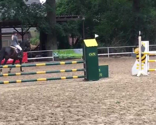 Video of Big Buddy 5