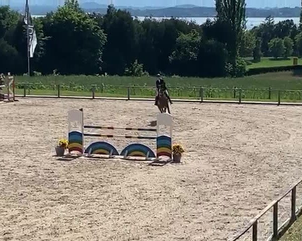 Video of Lady Balou