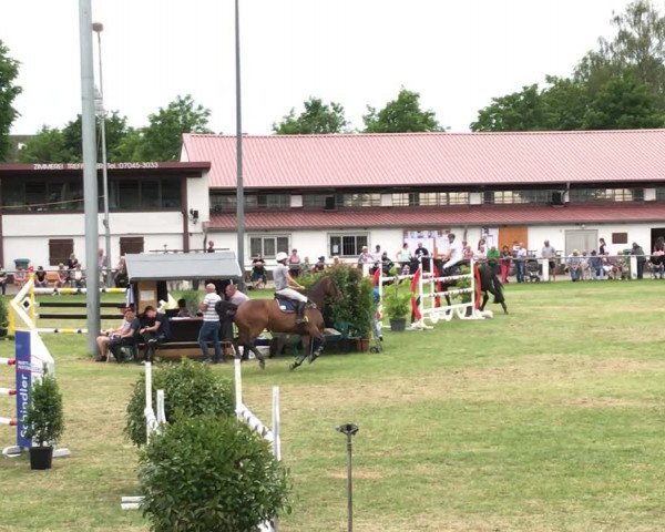 Reitturnier Forst 2019
