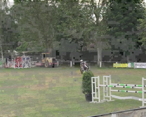Reitturnier Forst 2019