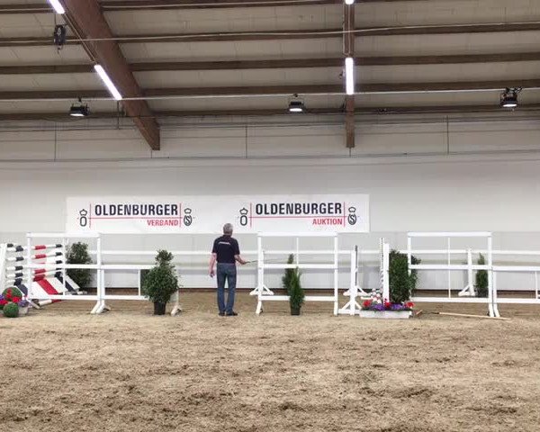 Video of Charming Charlotte S