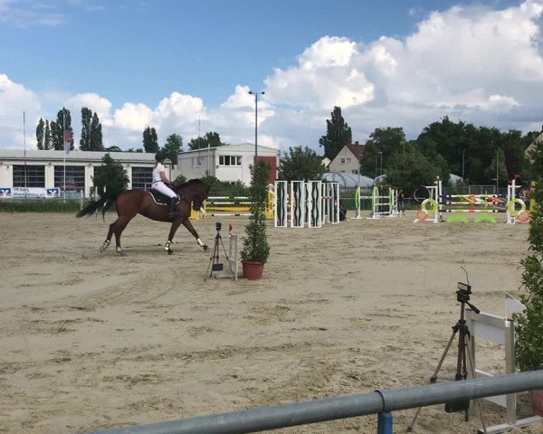 Video of C'est la rose 2