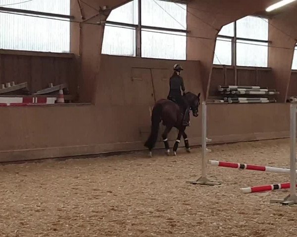 Video of Quickly