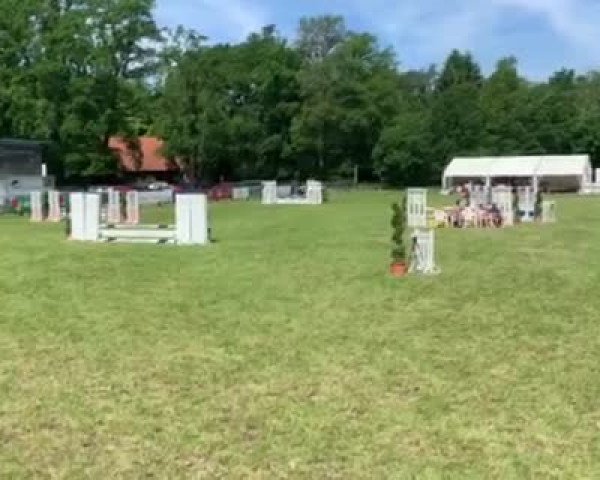 Video of W.P-B.R. Grivarda Apachy King