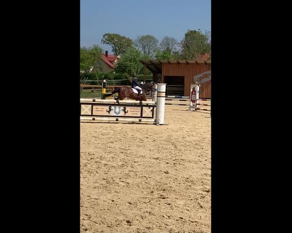 Reitturnier RS Fuchsenhof/Opf. 2019