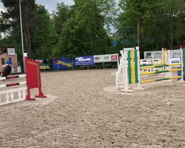 Reitturnier Rottweil 2019