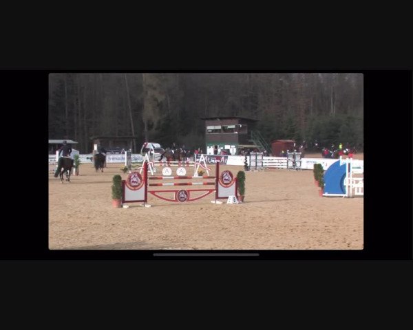 Video of Cosino Royal