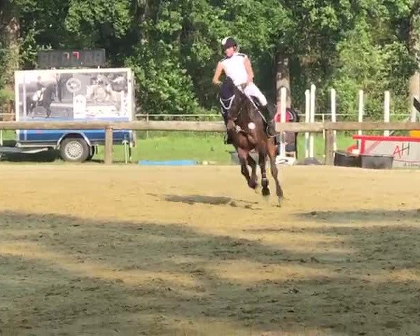Video of Qualifying