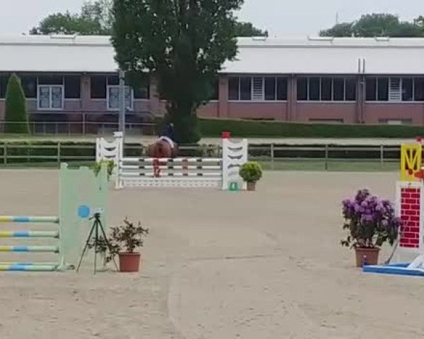 Video of Jerizza P