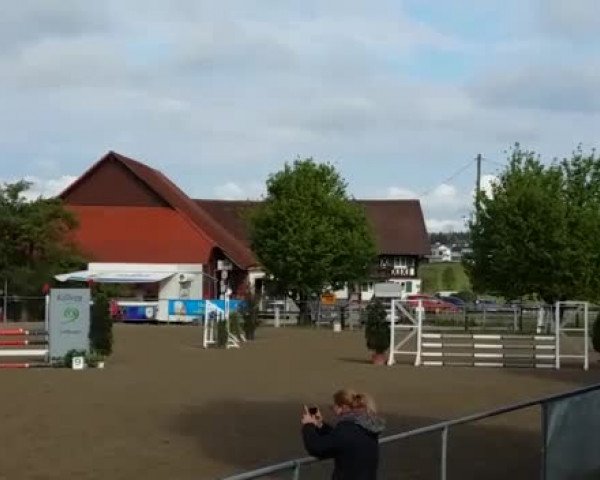 Reitturnier Kißlegg 2019