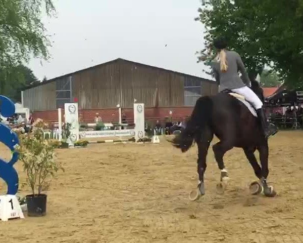 Video of Big Buddy 5