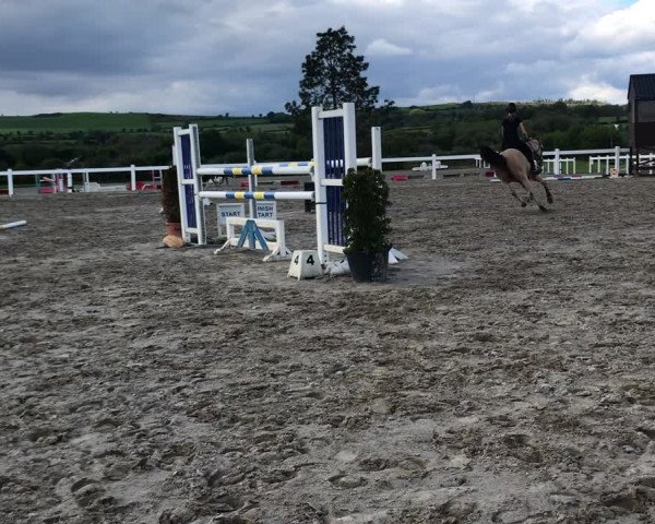 Video of Don Juan de Marco