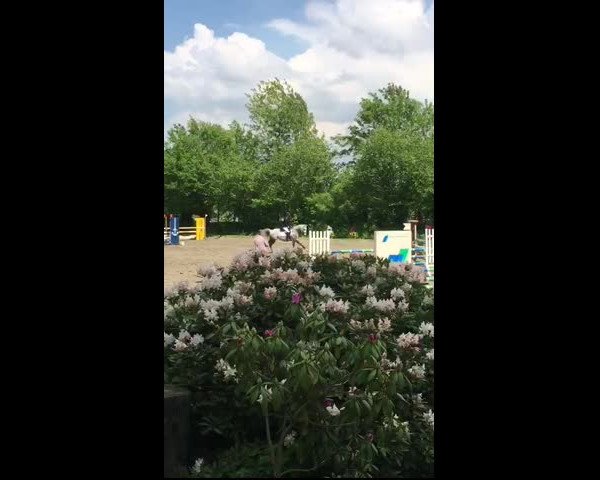 Video of Petit Bamoyal