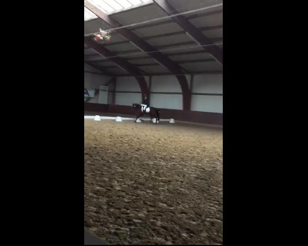 Video of Tante Emma