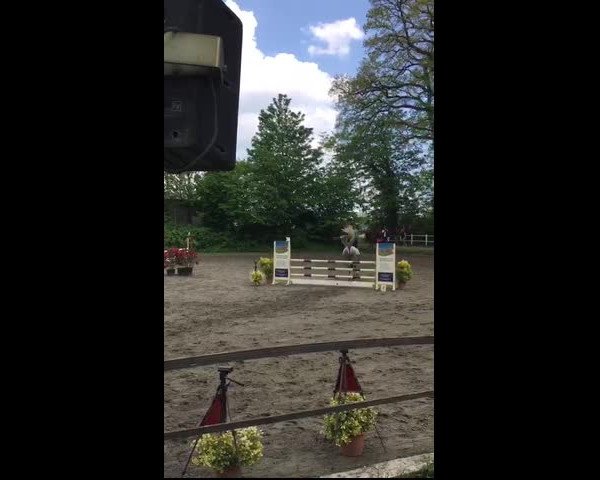 Video of Petit Bamoyal