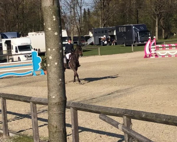 Reitturnier Bad Segeberg 2019