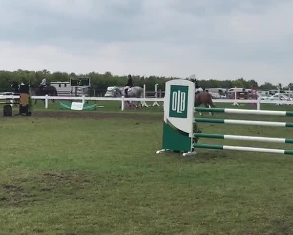Video of Hankifax H