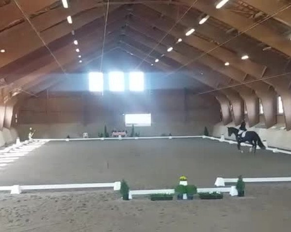 Video of Ferrara 90