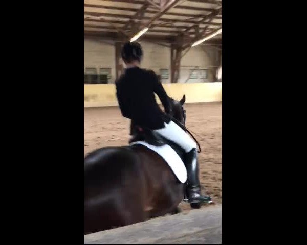 Video of Balentino
