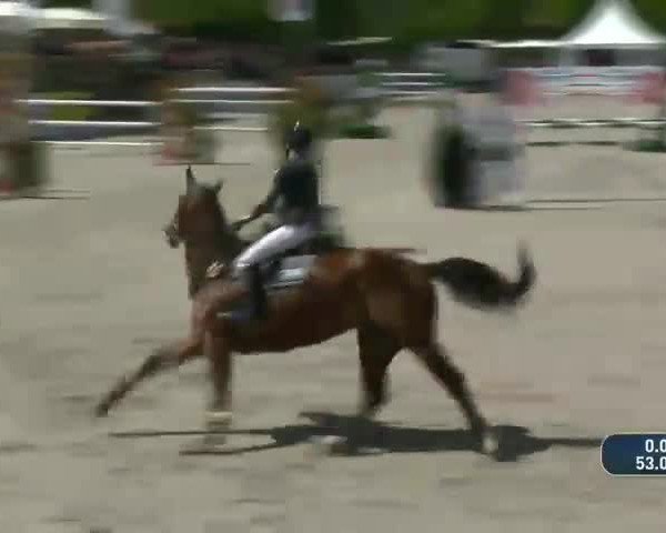 FEI Reitturnier Gross Viegeln (GER) 2019