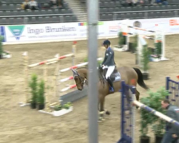 Reitturnier Verden 2019