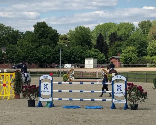 Reitturnier Elmshorn 2019