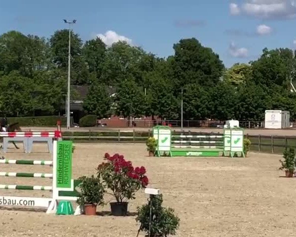 Reitturnier Elmshorn 2019