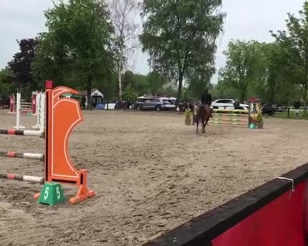 Video von Chica de La Luna Lh