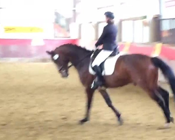 Video de Dancino