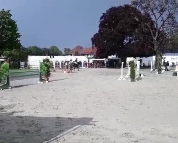 Video of Qualifying