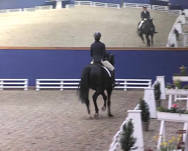 Reitturnier Zeutern-Martinushof 2019